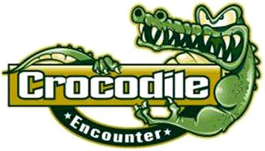 Crocodile Encounter
